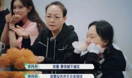 综艺导演爆料视频合集,导演爆料视频合集深度解析